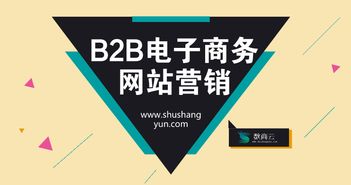 B2B電子商務(wù)網(wǎng)站營(yíng)銷(xiāo)質(zhì)量提升策略 從流量到轉(zhuǎn)化的系統(tǒng)化經(jīng)營(yíng)